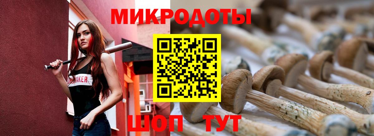 Галлюциногенные грибы Psilocybine cubensis Учалы